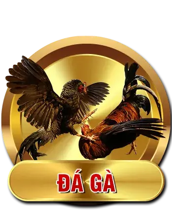 SHBET gpgo 🎖️ Trang Chủ SHBET Đăng Ký | Đăng Nhập Chính Thức 2026 7 cock